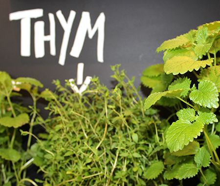 Systemgastronomie Dean & David Restaurant Europapassage Hamburg am Jungfernstieg Systemgastronomie Dean & David Restaurant Europapassage Hamburg am Jungfernstieg